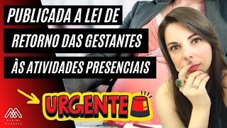 Publicada a lei que determina o retorno das gestantes às atividades presenciais [upl. by Forras]