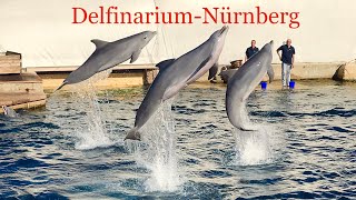 Delphinarium Tiergarten Nürnberg  Dolphin Show Nuremberg ZOO 2019 [upl. by Nida]