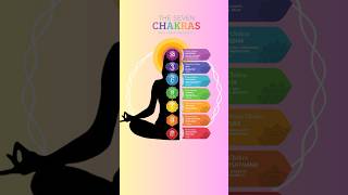 Seven Chakras of Human Body sanatandharma pauranik hindudeity hindudeity dharm hindugod dharm [upl. by Yeltrab]