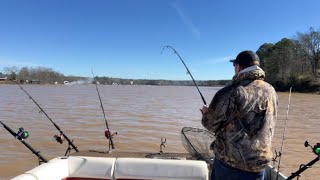 Catfishing Lake Wateree Sc 13024 Winter Time Catfish [upl. by Alywt]