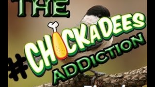 chickadee addiction EP 28  The final episode [upl. by Eulalia381]