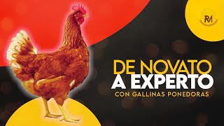 De Novato a Experto con Gallinas Ponedoras  Curso online [upl. by O'Dell]