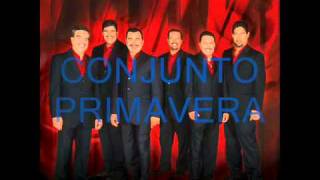 CONJUNTO PRIMAVERA  AMIGO MESERO  CON DEDICACION ESPECIAL [upl. by Duyne625]