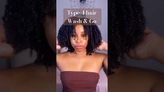 Wash amp Go on type 4 hair This one has to be my fav natrualhair curlyhair washandgo hairstyle [upl. by Socrates]