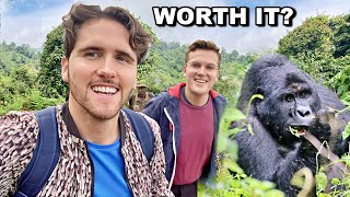 1500 EXTREME Gorilla Trek in Uganda [upl. by Enyledam]