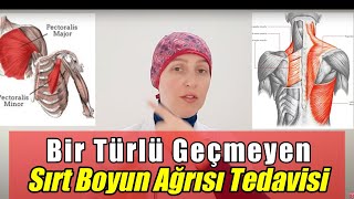 Sırt Ve Boyun Ağrısı  Tekrarlı Bant Yayın  Fzt Aynur baş [upl. by Koblas]