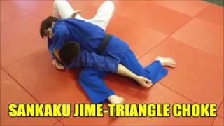 SANKAKU JIME FROM SIDE CONTROL OR MUNE GATAME [upl. by Oslec]