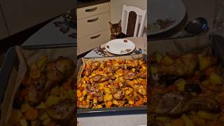 Wats for dinner 😸👌 Kas vakarienei dinner beautifulcat funnyvideo [upl. by Denten]