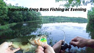 Topwater Frog Bass Fishing at Evening [upl. by Eeliah]