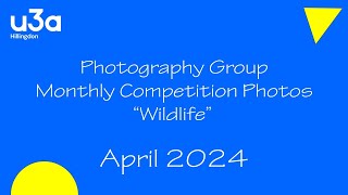 Hillingdon u3a Photography Group April 2024 Slideshow [upl. by Sirois164]