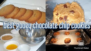 Best And Gooey Chocolate Chip Cookies  Soft And Yummy Cookies [upl. by Erickson]