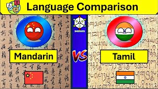 Tamil Vs Chinese Language Comparison  Tamil and Chinese Similarities And Differences  Singapore [upl. by Otsirave]