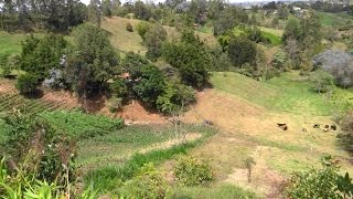 Finca en venta Rionegro Mampuesto carmin [upl. by Yreved]