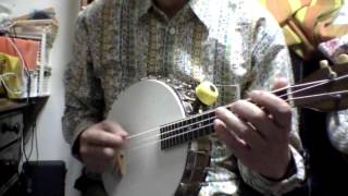 Vega Little Wonder Mandolin Banjo tuned in octave below GDAE [upl. by Akenot]