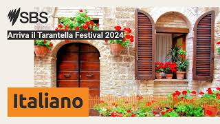 Arriva il Tarantella Festival 2024  SBS Italian  SBS in Italiano [upl. by Lebanna]