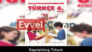 Kaynatılmış Tohum Metni Etkinlik Cevapları 6 Sınıf Türkçe [upl. by Yemac]