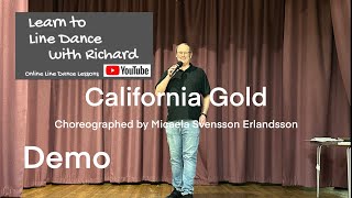 FREESTYLE  DEMO BEGINNER LINE DANCE  California Gold [upl. by Roddy]