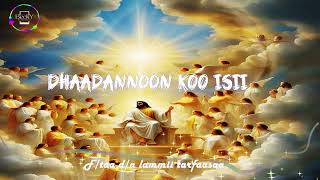 Dhaadannoon koo isii  Ftaa Dn Lammii Tarfaasaa [upl. by Minsat]