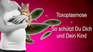 Schwangerschaft und Katze – so schützt du dich vor Toxoplasmose [upl. by Dhar]