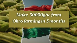 Complete guide to okro farming in Ghana from scratch how to invest and make 30000ghc in 3 months [upl. by Iggep]