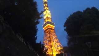 Tokyo Tower 東京タワー Japan [upl. by Hakym]