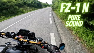 Yamaha FZ1 N  Pure Sound POV 4K  RAW Audio [upl. by Damek]