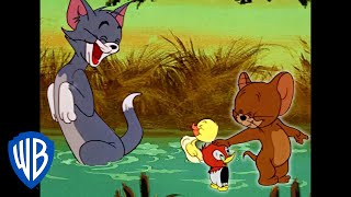 Tom amp Jerry in italiano  È di famiglia  WB Kids [upl. by Ynnattirb523]