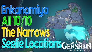 Enkanomia All 1010 The Narrows Seelie Locations  Genshin Impact [upl. by Bobinette13]