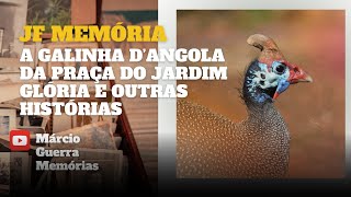 JF Memórias A galinha dAngola da Praça do Jardim Glória e outras histórias [upl. by Aciraj942]