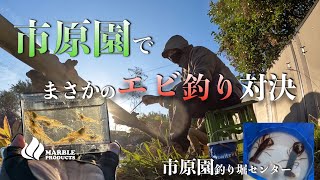 タナゴ釣りでまさかの外道祭り【市原園釣り堀センター】なぜこんなにエビが釣れる？【小物釣り】小湊鉄道で行く釣り散歩 [upl. by Pohsib]