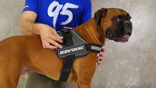 EzyDog Convert Harness [upl. by Lashond]