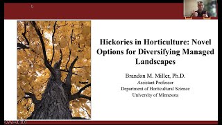 Hickories in Horticulture Novel Options for Diversifying Managed Landscapes [upl. by Ylrehs98]