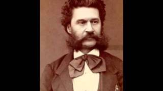 Johann Strauss  Spleen Polka Mazurka op197  Lorin Maazel  Wiener Philharmoniker [upl. by Assille]