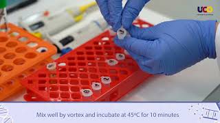 Quantitative analysis of proteins by the Lowry method [upl. by Susy]