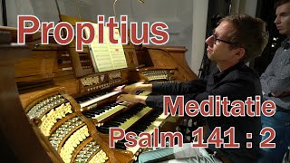 J Propitius  Meditatie over Psalm 141 vers 2  Gert van Hoef  Martinikerk Doesburg [upl. by Nanon]