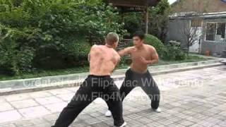 Master Xu YiZhen TaiChiChuan Sparring [upl. by Asilec694]