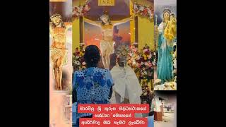 Marawila Kurusa Palliya Blessing marawila kurusapalliya shantovlogs jesus love 1millionviews [upl. by Itraa]