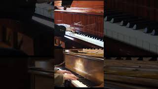 Bösendorfer VS Steinway [upl. by Enyedy525]