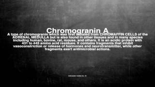 Medical vocabulary What does Chromogranin A mean [upl. by Ailec758]