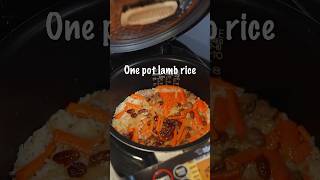 Rice cooker One pot Lamb rice from Xingjiang China [upl. by Negaet957]