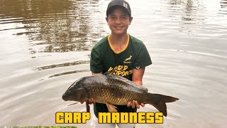 LIGHT TACKLE Carp fishingWE GOT A BIG ONE [upl. by Freberg]