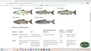 How to Read the Freshwater Salmon Regulations [upl. by Ysac]