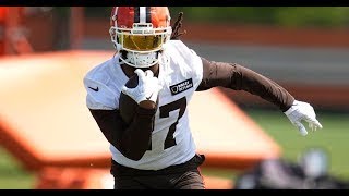 Why DOnta Foreman Was Such a Good Offseason Signing By the Browns  Sports4CLE 73124 [upl. by Nnyled570]