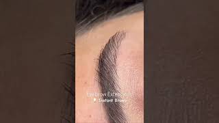 Eyebrow Extensions 💡 Instantly grow your over plucked eyebrows 🤎 [upl. by High]