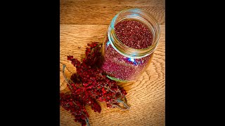 Processing Staghorn Sumac [upl. by Hars279]