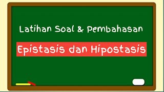 Latihan soal dan Pembahasan Epistasis dan Hipostasis [upl. by Llednew69]