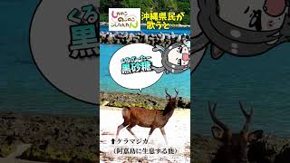 【 替え歌 】 しかのこのこのここしたんたん 【 沖縄方言 すぎる シカ色デイズ 】 shorts ※説明欄に方言とケラマジカの解説あるから見てみて！ [upl. by Uhp]