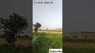 glannmaxwell maxwellcat shortvideo sports rcb abdvilliers short subscribe kaise badhaen [upl. by Ultan]