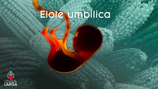 Elote umbilica l LENGUA LARGA PODCAST T1E141 [upl. by Ymled]