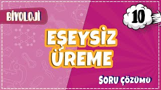 10 Sınıf Biyoloji  Eşeysiz Üreme Soru Çözümleri  2022 [upl. by Zednanref]